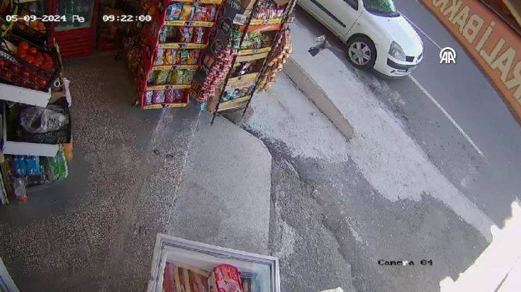 Bakkaldan cips çalan karga suçüstü yakalandı! Etrafı kolaçan etti paketi alıp kaçtı - Resim: 2